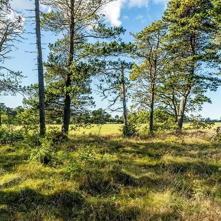 Sigref - 4km From The Sea By Interhome Hébergement de vacances Ålbæk
